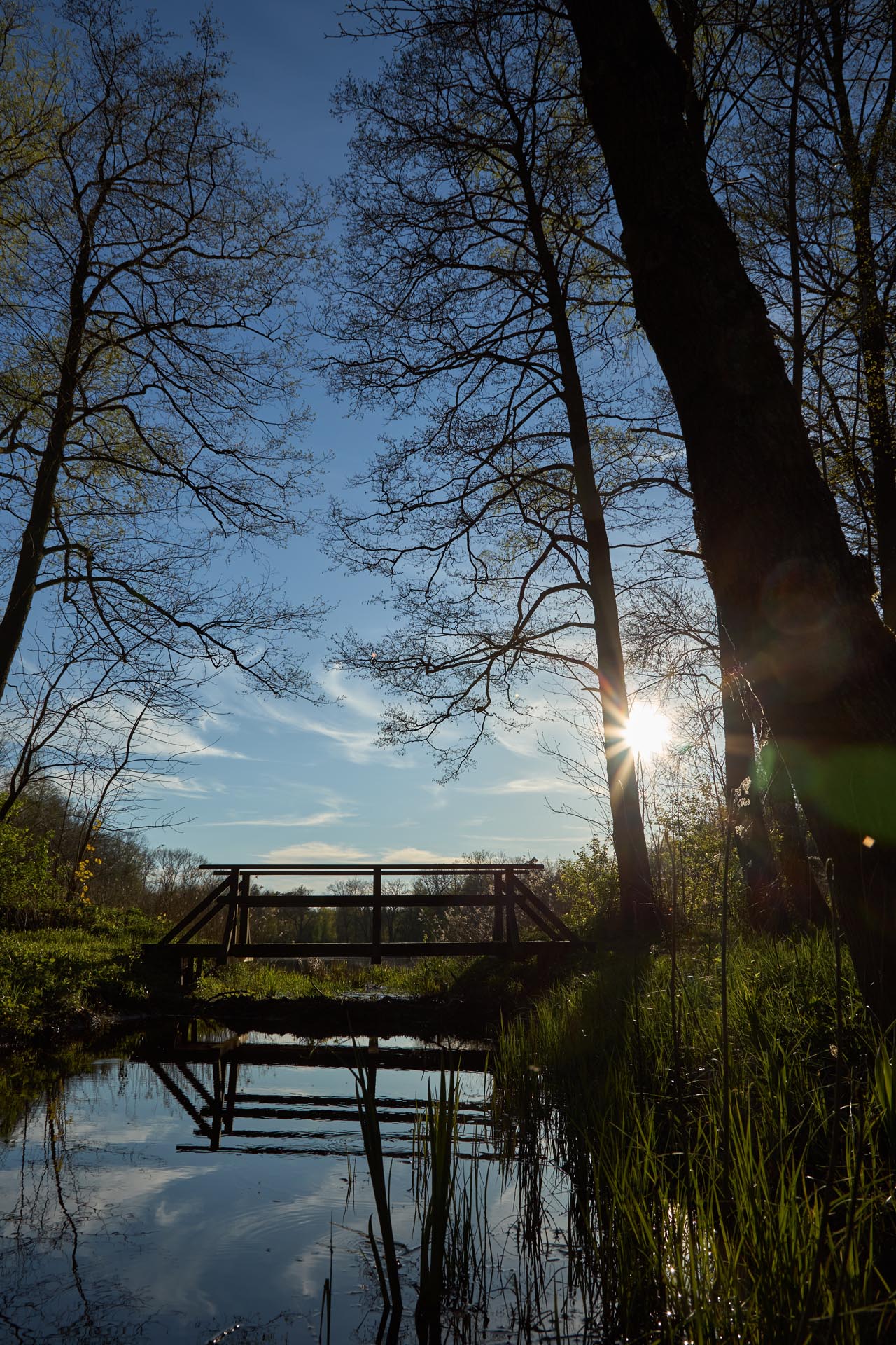Kładka nad rzeką